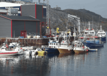 accordo di pesca UE Groenlandia