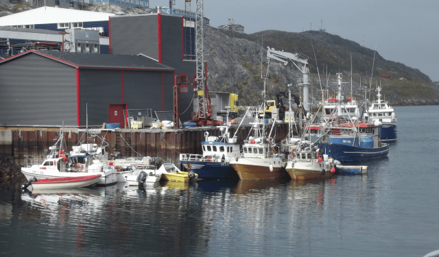 accordo di pesca UE Groenlandia