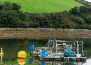 acquacoltura in Irlanda