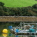 acquacoltura in Irlanda