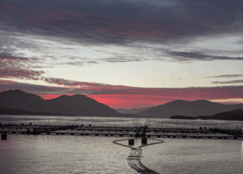 acquacoltura sostenibile