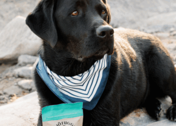 mitili del Mar Baltico