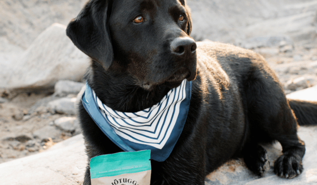 mitili del Mar Baltico