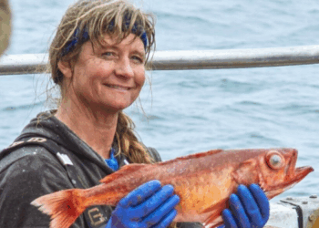 programma di accelerazione per prodotti ittici