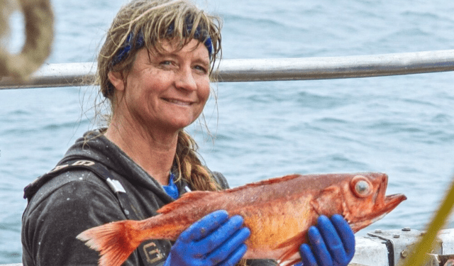 programma di accelerazione per prodotti ittici