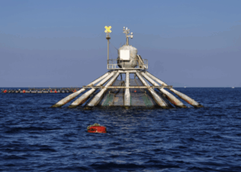 prospettive dell’acquacoltura nella seconda metà del 2025