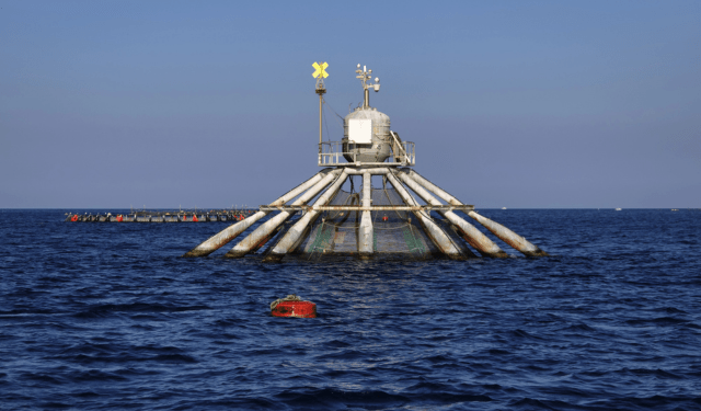 prospettive dell’acquacoltura nella seconda metà del 2025