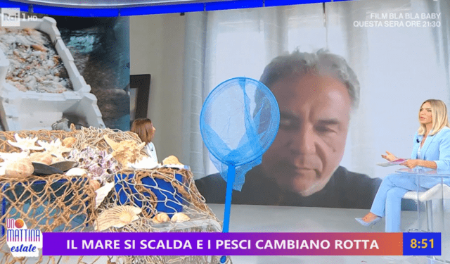 Il mare si scalda e il pesce cambia rotta