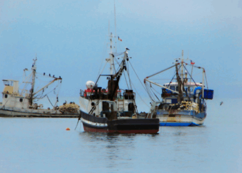 statistiche europee sulla pesca e l'acquacoltura