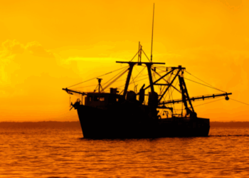 trasparenza sulla titolarità effettiva nel settore della pesca