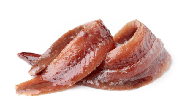 EUMOFA report on preserved anchovies: tradition shaping the European seafood chain