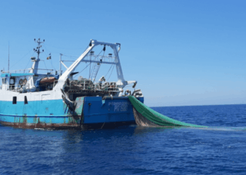 Pescatori di Mazara hands that tell the story of the Mediterranean