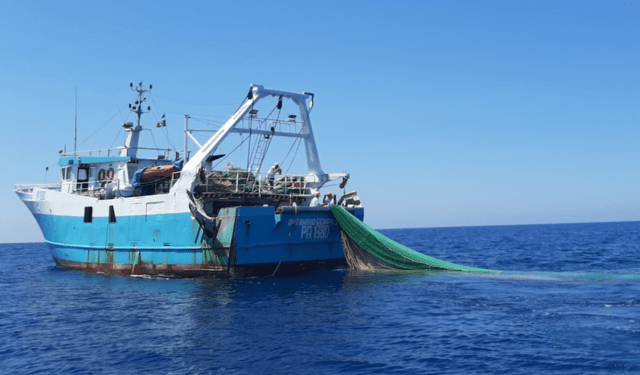 Pescatori di Mazara hands that tell the story of the Mediterranean
