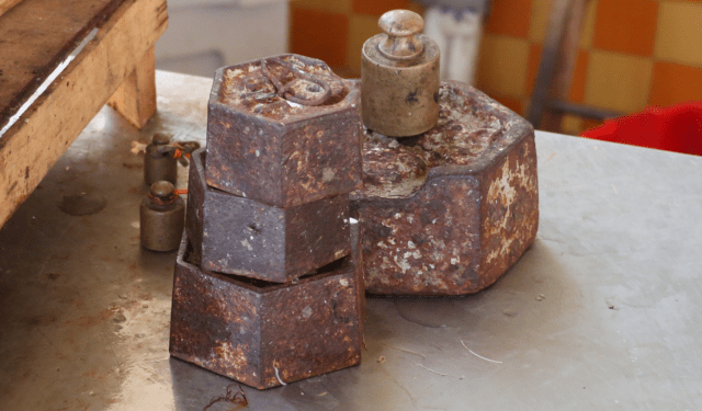 Sicily Fishing Ban Risks Shrimp Stock and Competitiveness