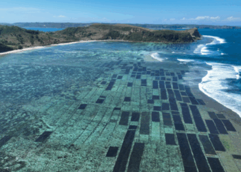 Sustainable Blue Economy