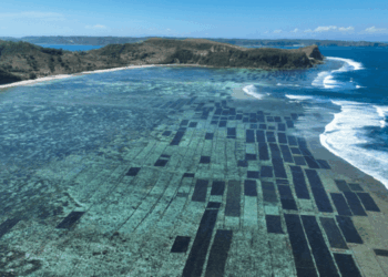 Sustainable Blue Economy Partnership Launches First Thematic Call Under Horizon Europe