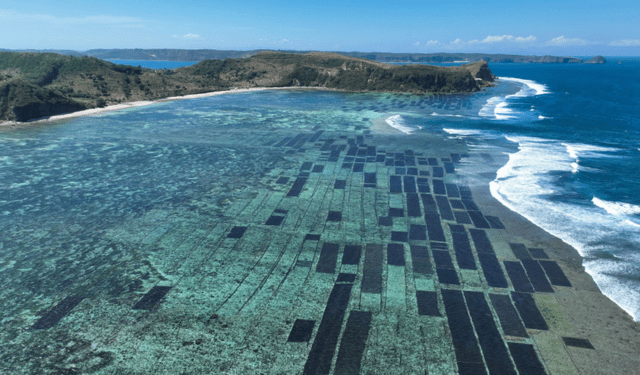 Sustainable Blue Economy Partnership Launches First Thematic Call Under Horizon Europe