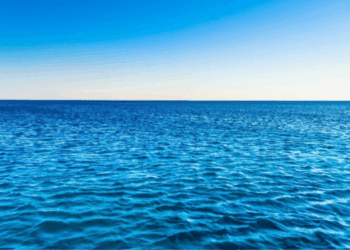 The Mediterranean Sea is particularly vulnerable to marine heatwaves