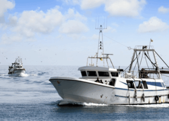 Trawl Fishing Regulations in the Mediterranean: AIC Pesca’s President Calls for Updated, Contextualized Data