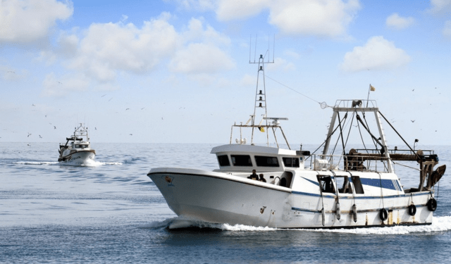 Trawl Fishing Regulations in the Mediterranean: AIC Pesca’s President Calls for Updated, Contextualized Data