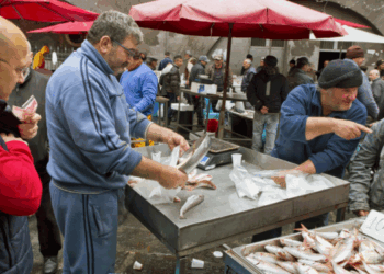 Seasonal trends in EU fish market: 2023–2025 insights