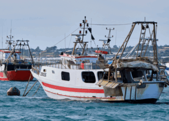 aree interdette alla pesca a strascico