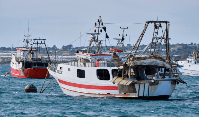 aree interdette alla pesca a strascico