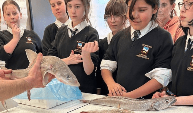 bastoncini di pesce sostenibili