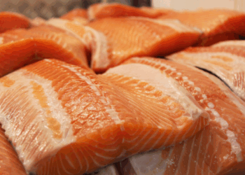 esportazioni ittiche norvegesi