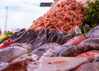 la biodiversità ittica e la nutrizione umana