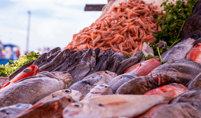 la biodiversità ittica e la nutrizione umana