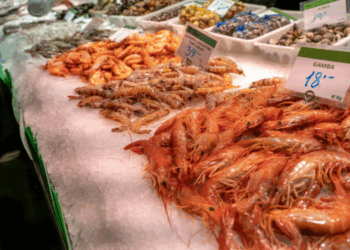 mercato globale del gambero