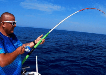 pesca sportiva e commerciale
