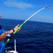 pesca sportiva e commerciale