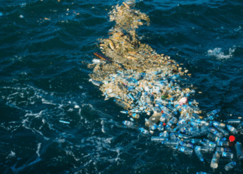 trattato globale sulla plastica