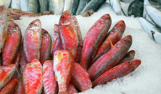 vendite di prodotti ittici in Europa