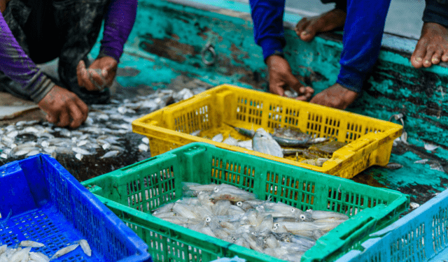 Accordo OMC sui sussidi pesca