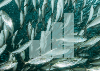 CSRD aziende ittiche