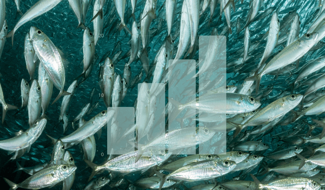 CSRD aziende ittiche