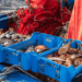 EU regulation targets food waste cuts in seafood
