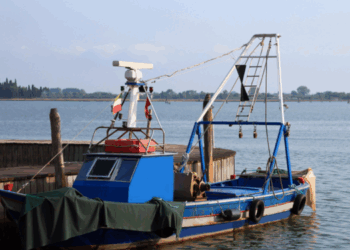 FLAG Veneziano bandi pesca agosto 2025