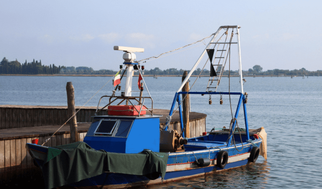FLAG Veneziano bandi pesca agosto 2025