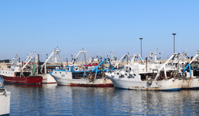 La disinformazione danneggia la pesca