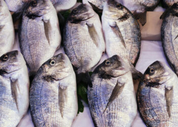 Organic aquaculture in the European Union: hurdles and outlook