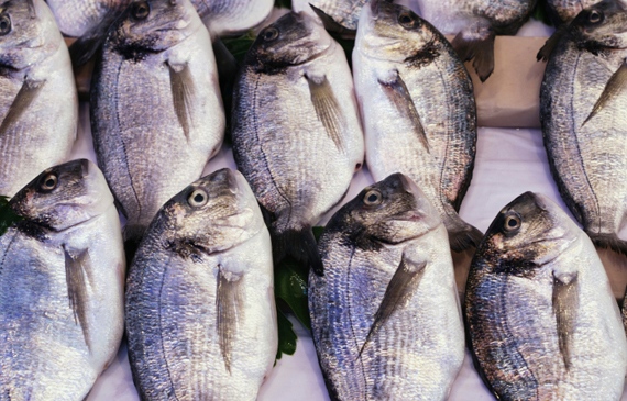 Organic aquaculture in the European Union: hurdles and outlook