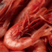 Red shrimp and purple shrimp minimum conservation size MASAF decree