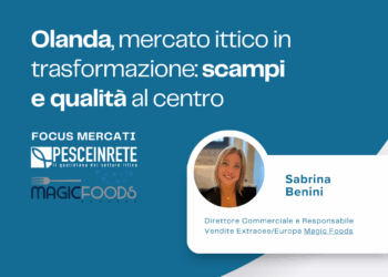 mercato ittico olandese