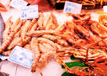Seafood Trade 2025 Tariffs, Sanctions & Volatility