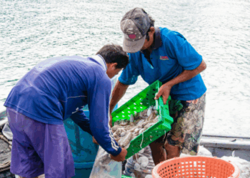 Ship to Shore Rights South-East Asia