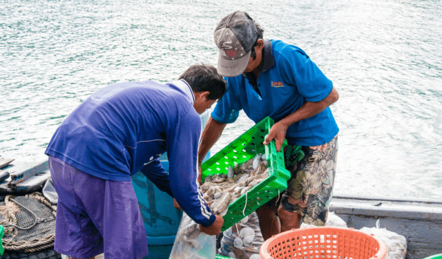 Ship to Shore Rights South-East Asia